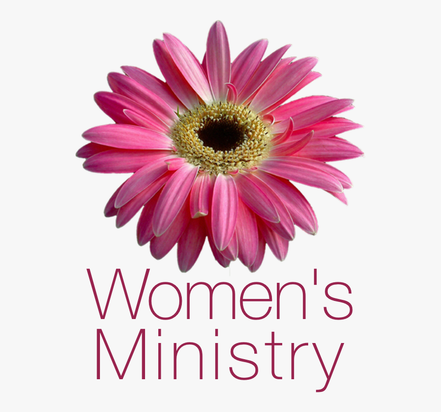 Transparent Women's Ministry Logo, Transparent Clipart