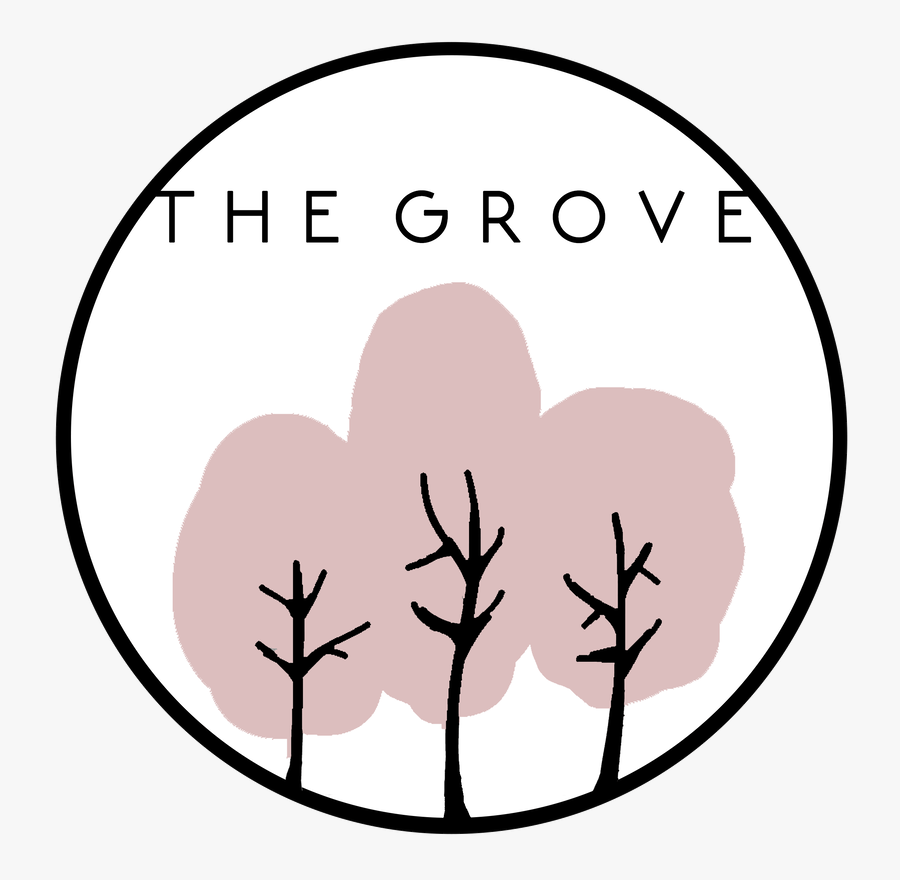 Picture - Circle, Transparent Clipart