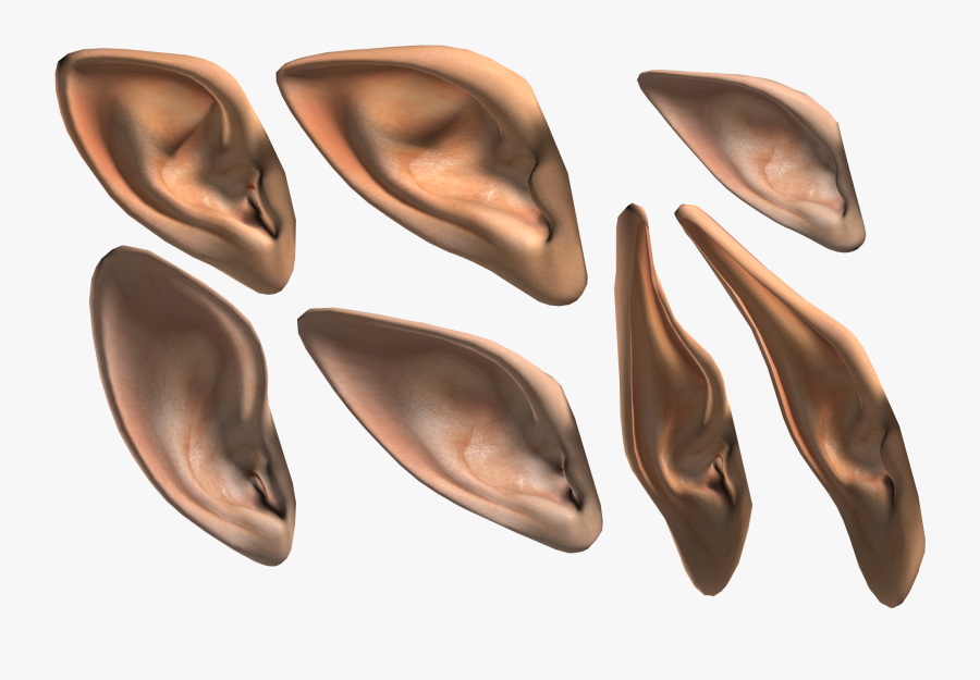 Ear Elf Fairy - Elf Ear Png, Transparent Clipart