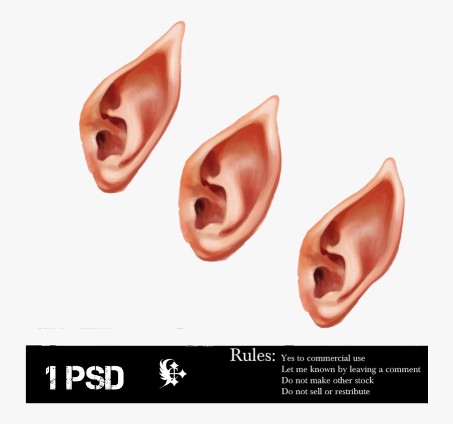 Elvish Ear Png, Transparent Clipart