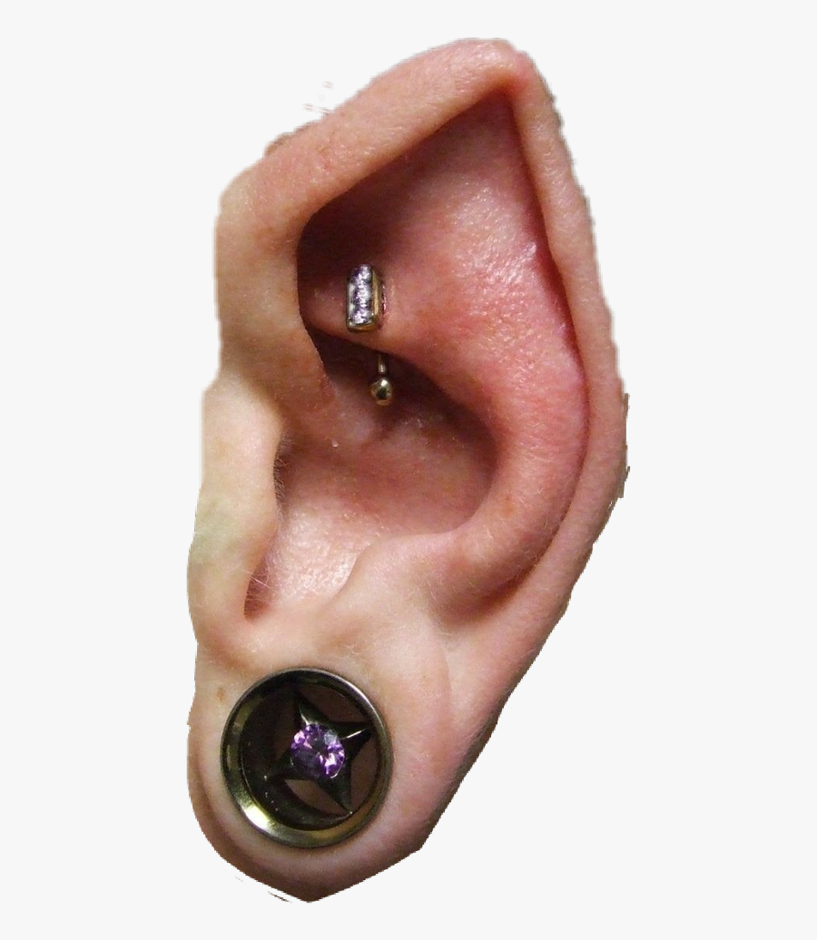 #elf Ear - Earrings, Transparent Clipart