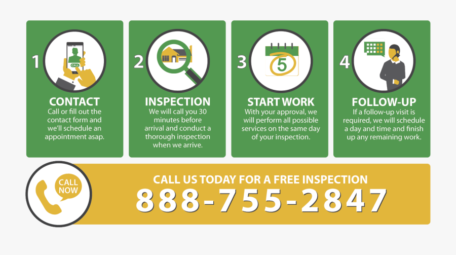 Southern California Cockroaches - Brochure, Transparent Clipart