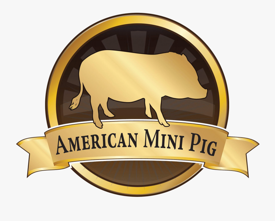 Hog Clipart Clean Pig - American Mini Pig Association, Transparent Clipart