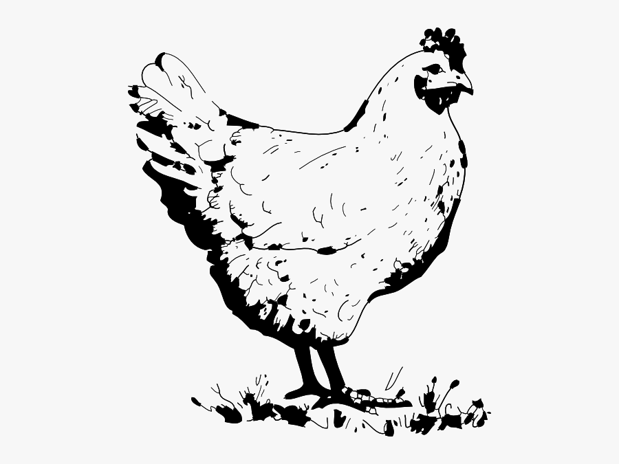 Hen Black And White Clipart, Transparent Clipart