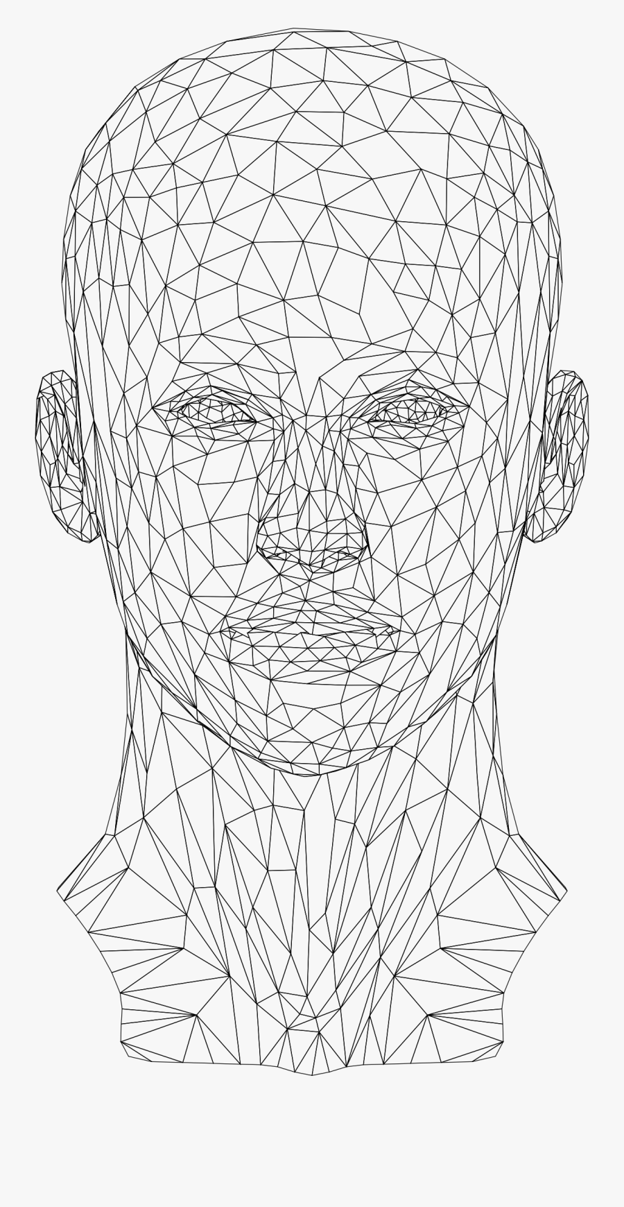 Low Poly Female Head - Wireframe Human Head Png, Transparent Clipart