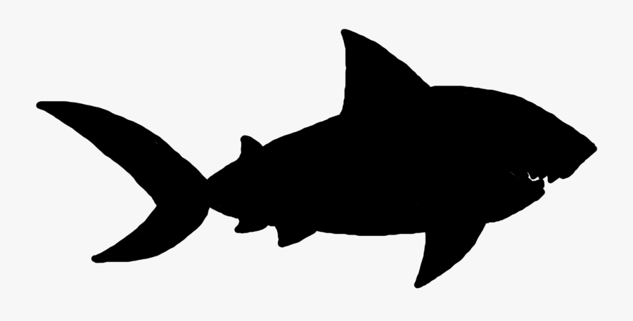 Shark Clip Art Fauna Silhouette Marine Mammal - Shark, Transparent Clipart