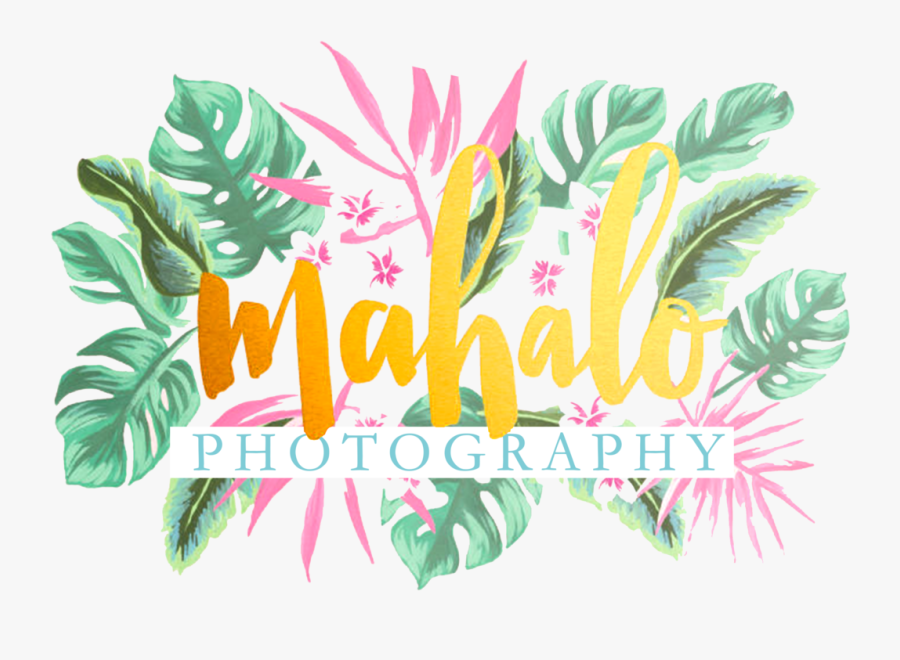 Photography Clipart Text - Graphic Design, Transparent Clipart