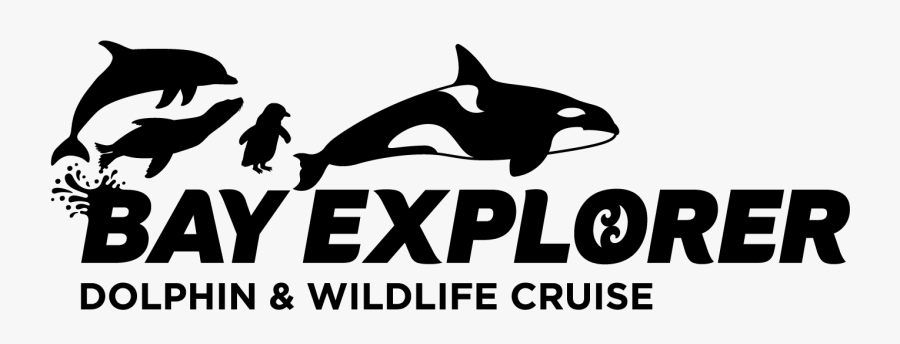 Cp Company, Transparent Clipart