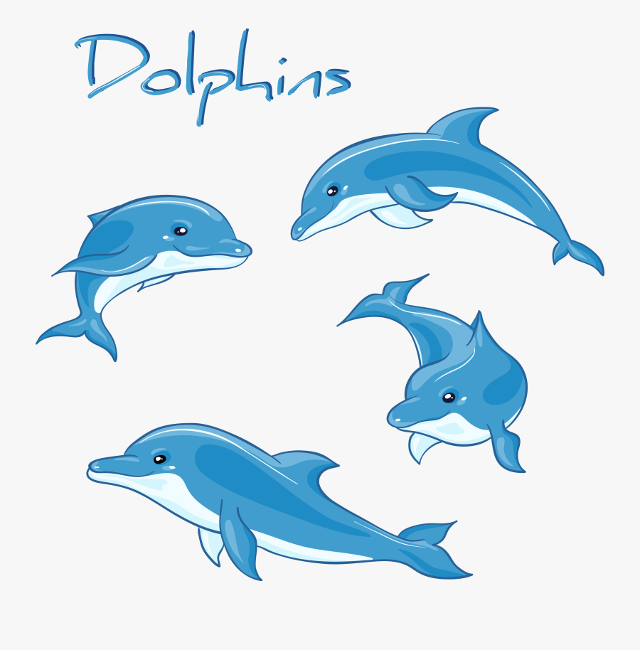 Biology Drawing Decoration - Dolphin In Different Positions, Transparent Clipart