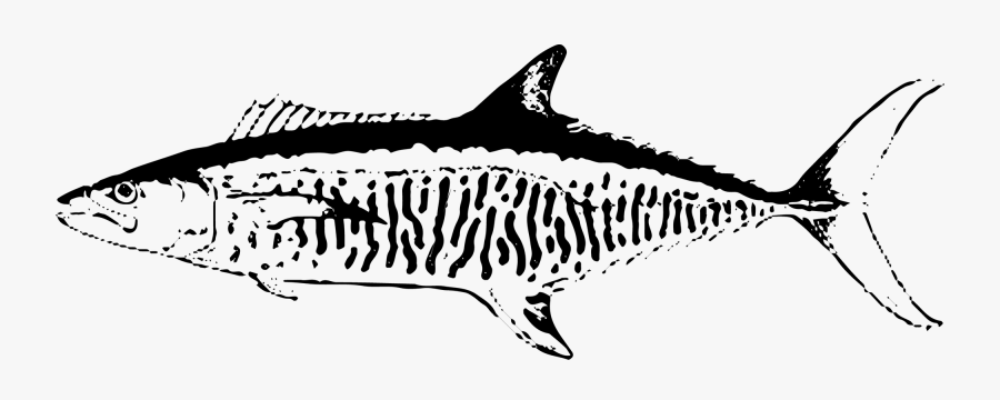 Netting Clip Art Fish - Shark, Transparent Clipart