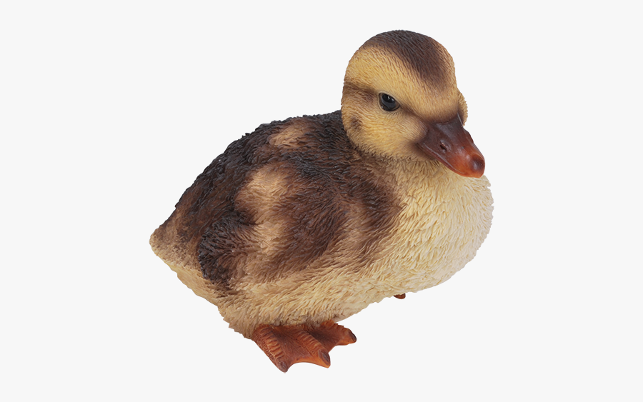 Duckling Png, Transparent Clipart