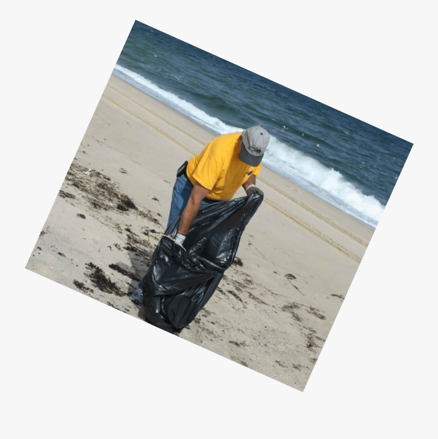 Sea, Transparent Clipart