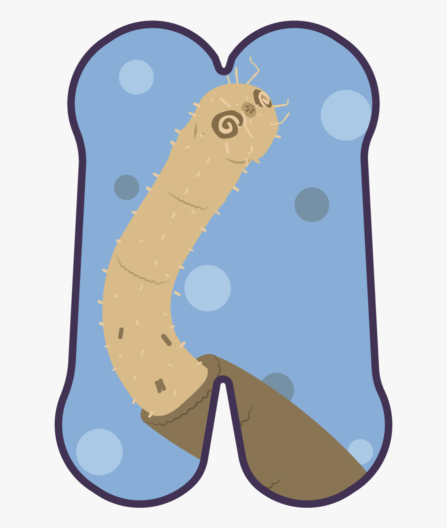 Clip Art, Transparent Clipart