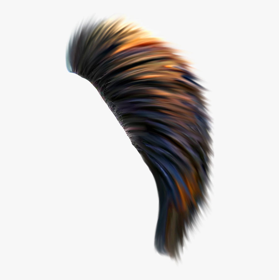 Background Hair Png Download, Transparent Clipart