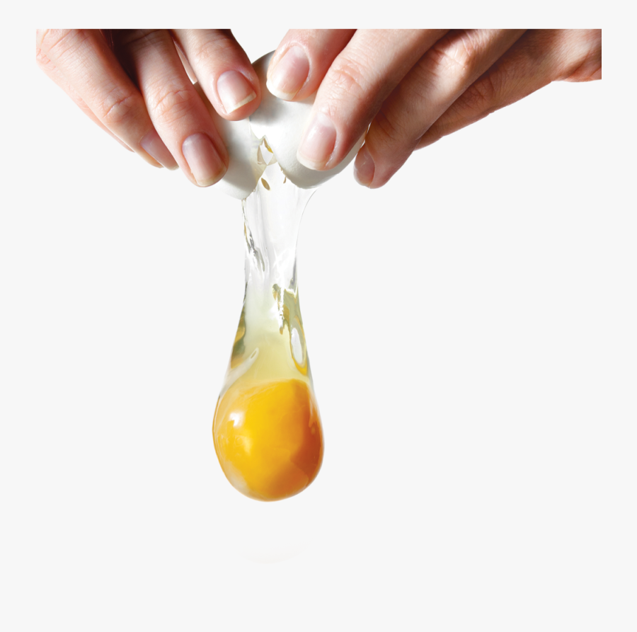 Egg Png - Egg Yolk Transparent Background, Transparent Clipart