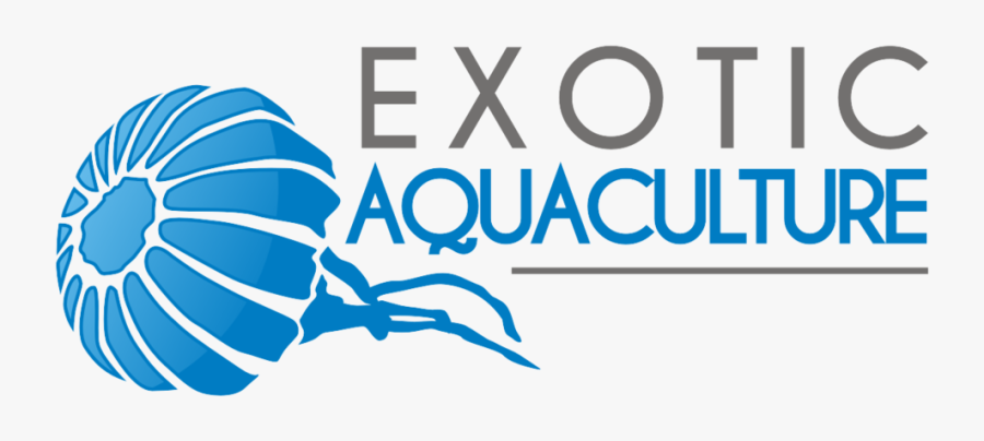 Clip Art Egg Yolk Jellyfish Exotic - Aquaculture, Transparent Clipart