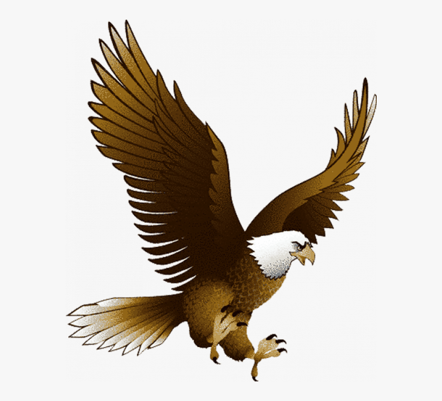 Eagle Png, Transparent Clipart