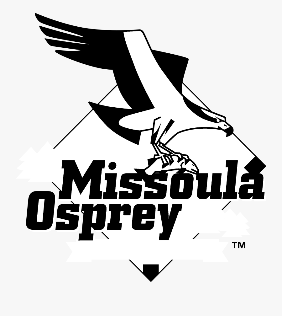 Missoula Osprey, Transparent Clipart