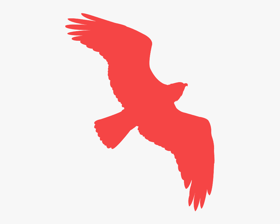Red Bird Flying Clipart, Transparent Clipart
