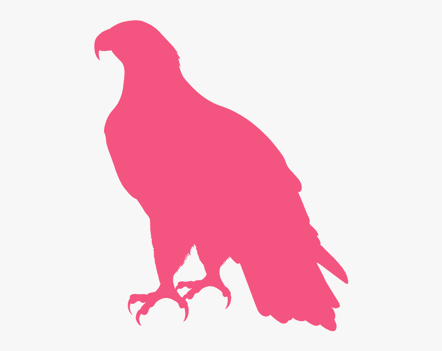 Aguila Americana Silueta, Transparent Clipart