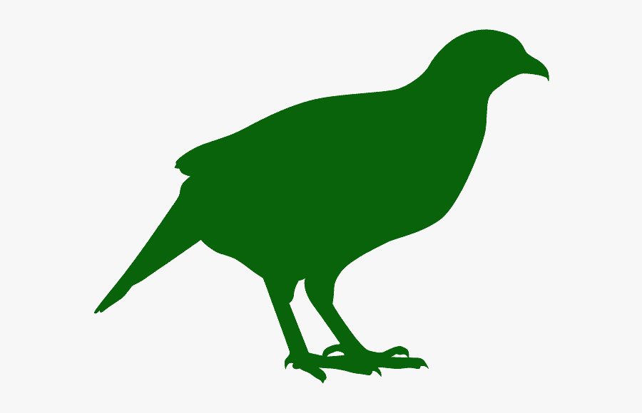 Phasianidae, Transparent Clipart