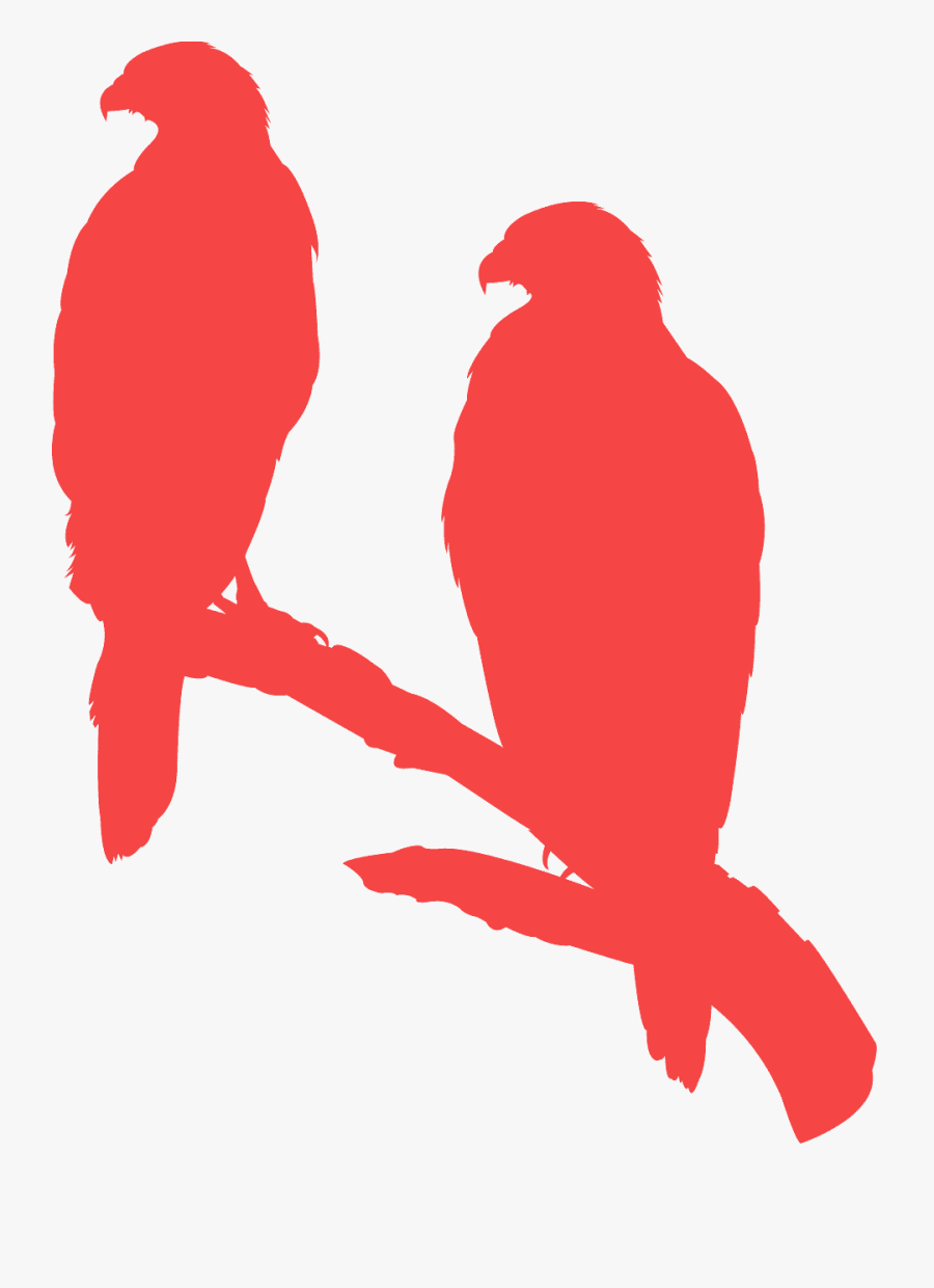 Macaw, Transparent Clipart
