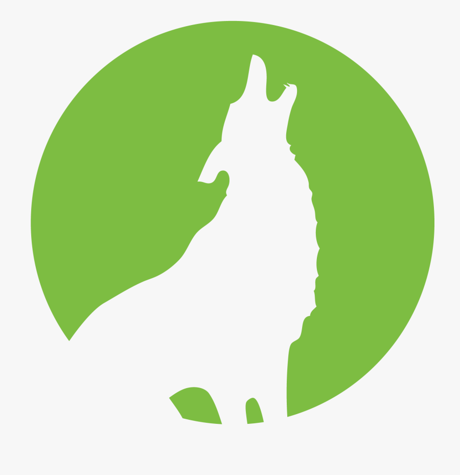 Transparent Wilderness Survival Clipart - Illustration, Transparent Clipart