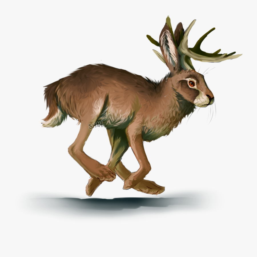 Clip Art Another Jackalope I Might - Jackalope Fursona, Transparent Clipart