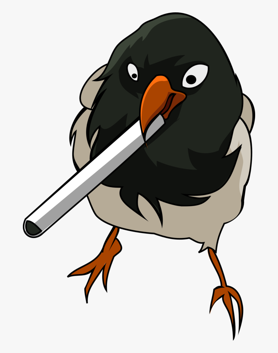 Robin Vector Stylised - Gentoo Penguin, Transparent Clipart