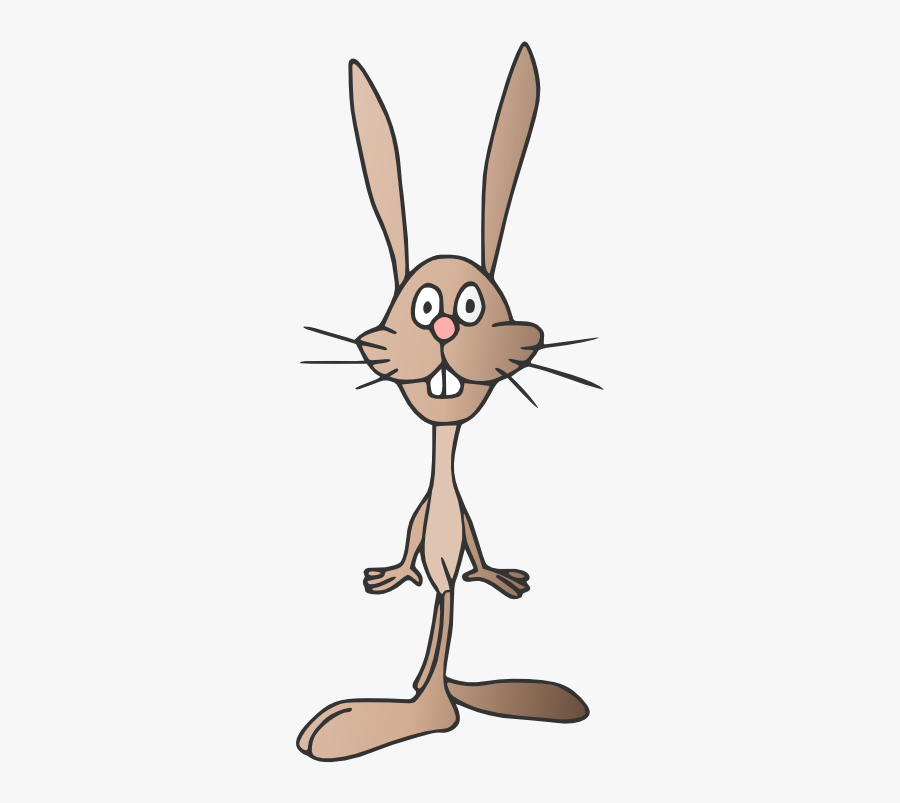 Rabbit 555px - Rabbit, Transparent Clipart