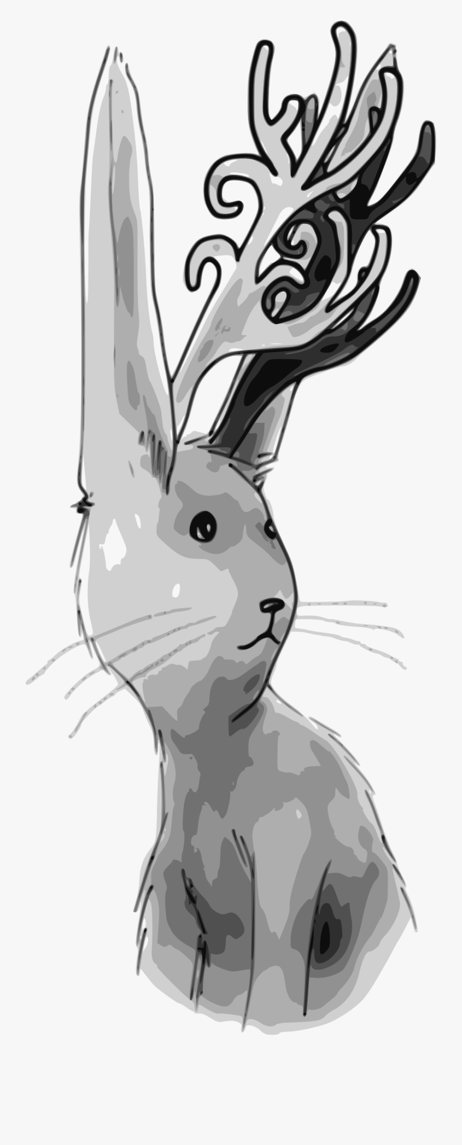 Jackalope Clip Arts - Clip Art, Transparent Clipart