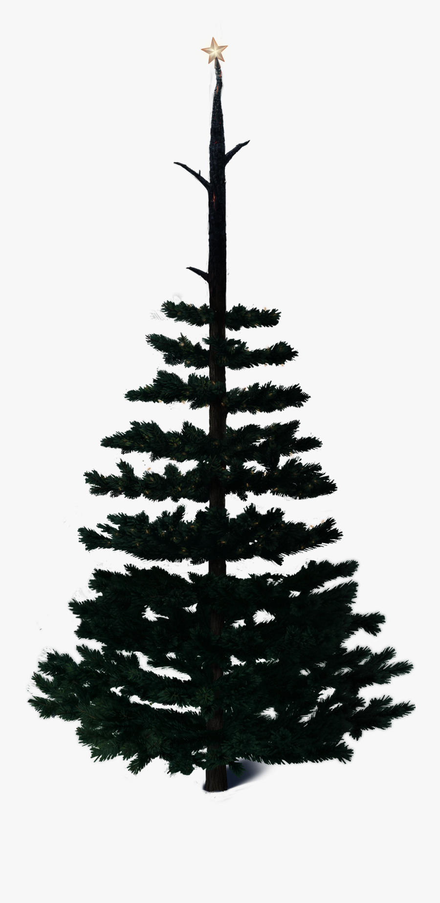 Charlie Brown Christmas Tree Clipart, Transparent Clipart