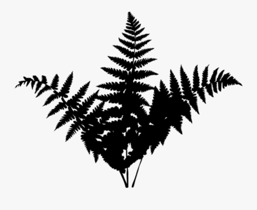 Black & White - Forest Leaf Png Silhouette, Transparent Clipart