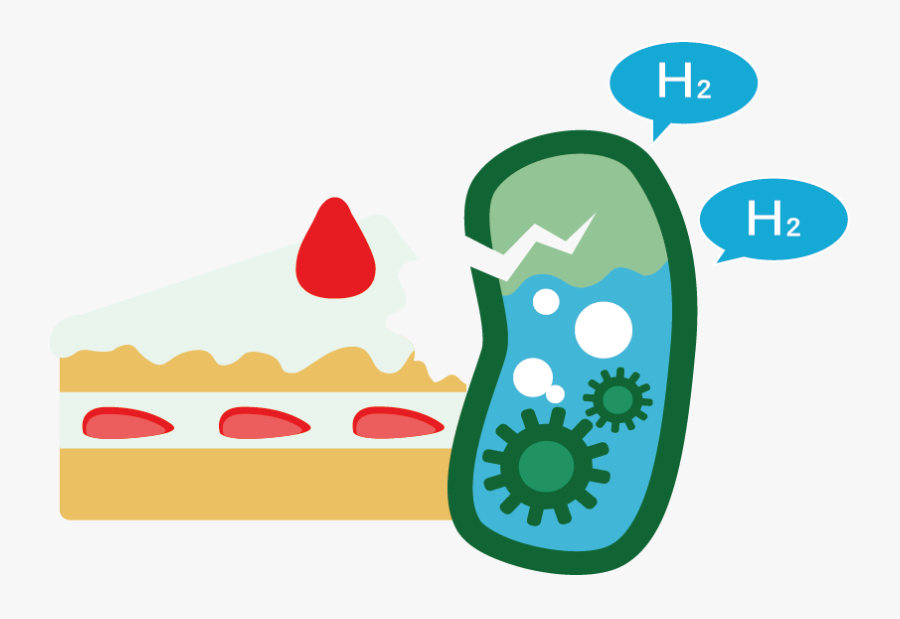 Hydrogen Production E Coli, Transparent Clipart
