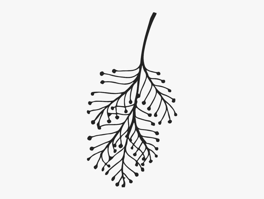 Branch With Buds Rubber Stamp - Line Art, Transparent Clipart