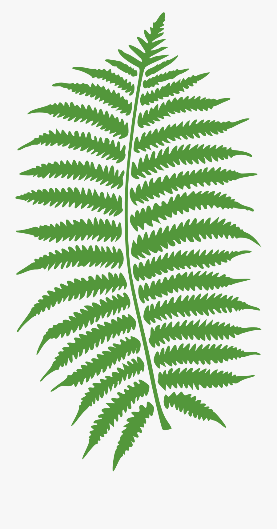 Free Image - Clip Art Red Fern, Transparent Clipart