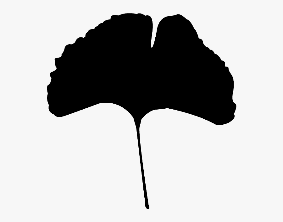 Free Vector Ginkgo Leaf, Transparent Clipart