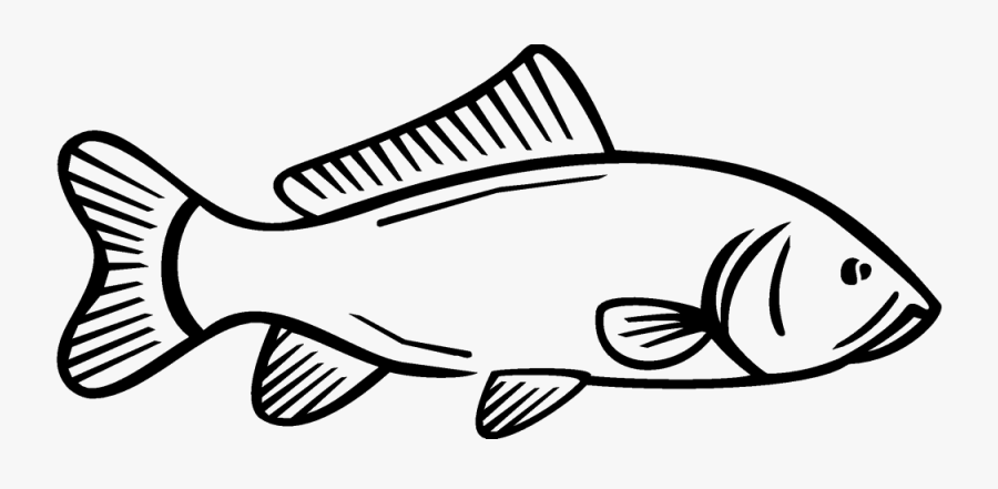 Sticker Logo Clip Art - Draw A Asian Carp Step, Transparent Clipart