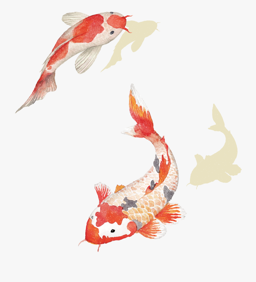 Carp Chinese Download Hd Png Clipart - Chinese Koi Fish Png, Transparent Clipart