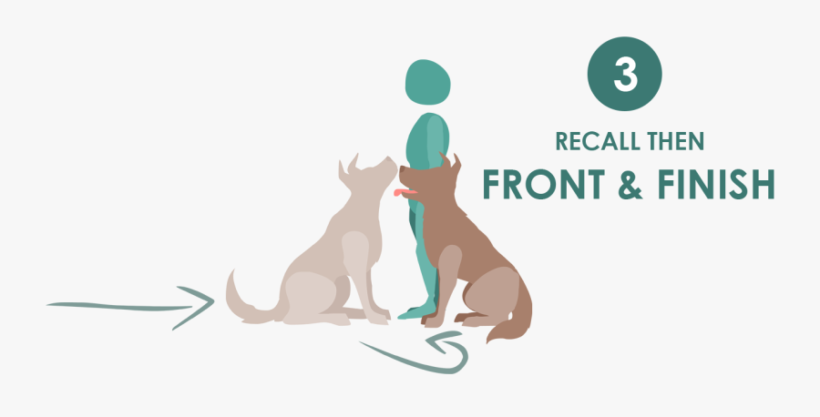 Clip Art Exercise Recall Team Titles - Dog Catches Something, Transparent Clipart