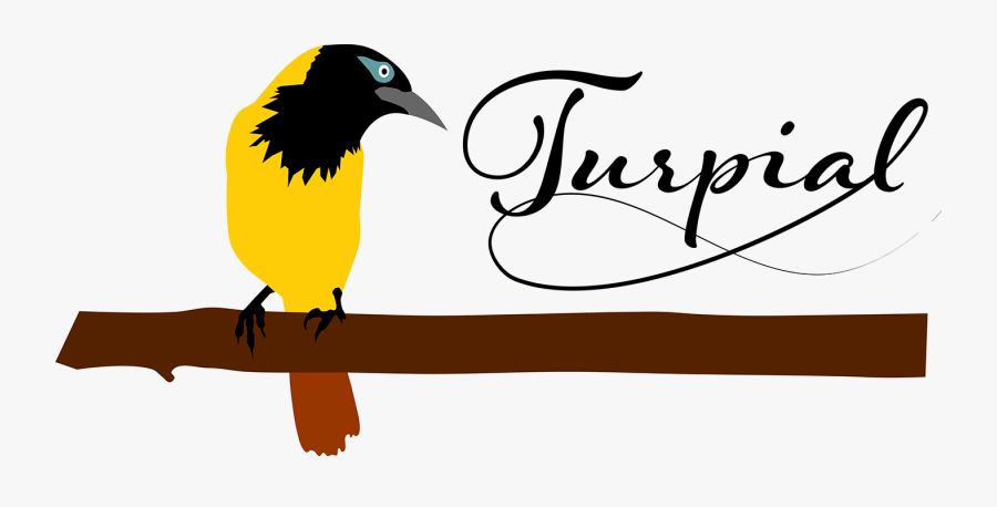 Illustration, Transparent Clipart