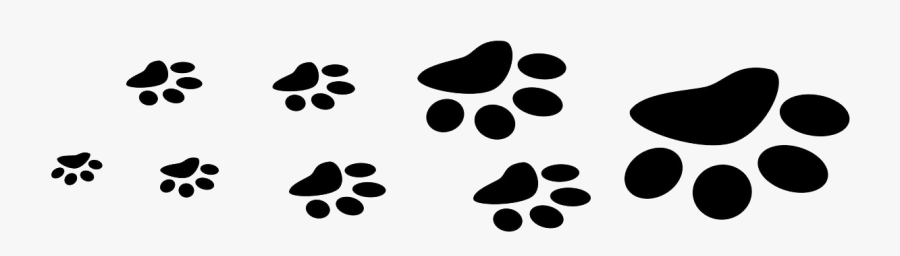 Pets - Transparent Paw Prints, Transparent Clipart