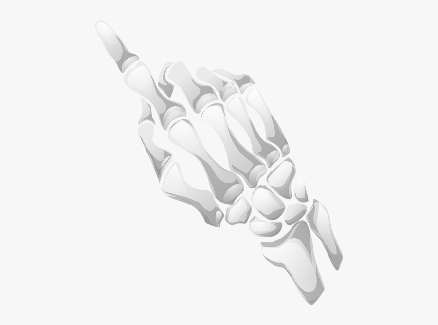 Human Skeleton Hand Bone Clip Art - Portable Network Graphics, Transparent Clipart