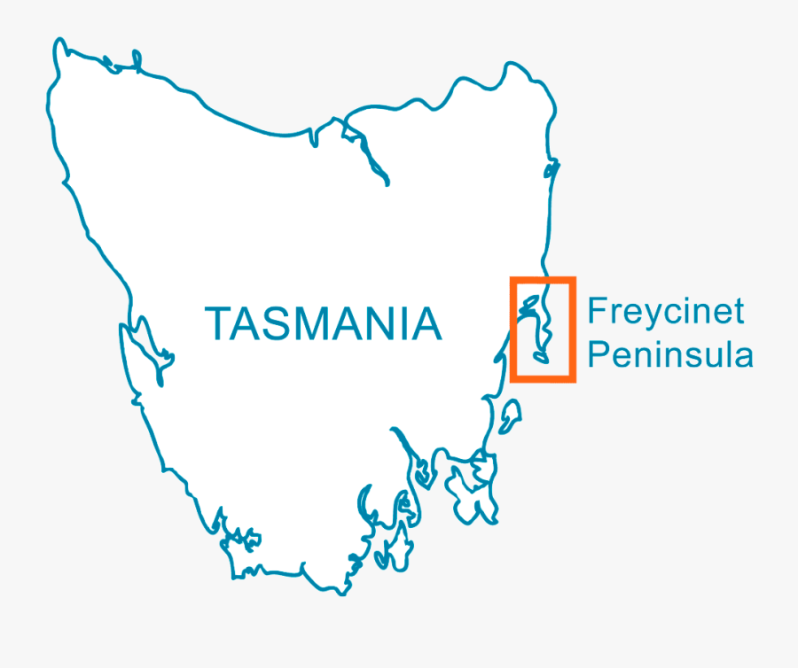 Tasmanian Forests On A Map, Transparent Clipart