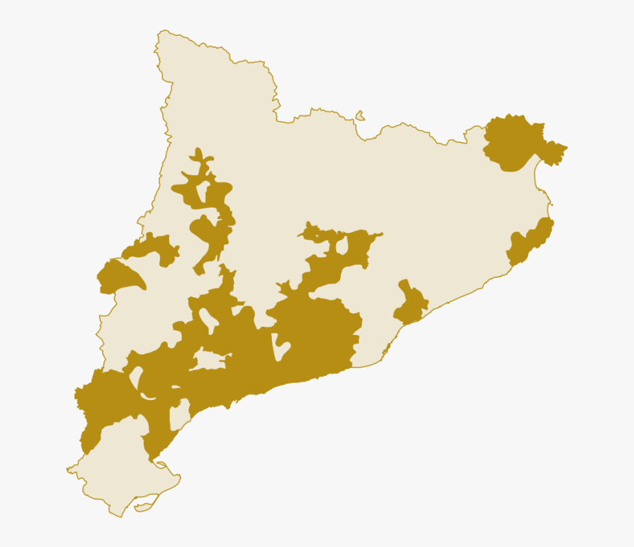 Do Olis De Catalunya, Transparent Clipart