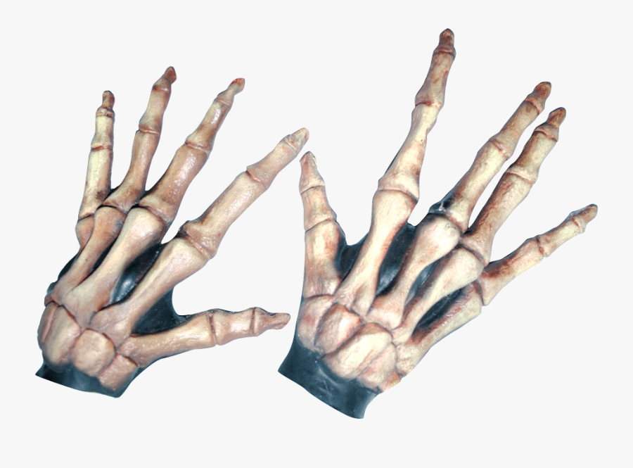 Transparent Bones Colored - Skeleton, Transparent Clipart
