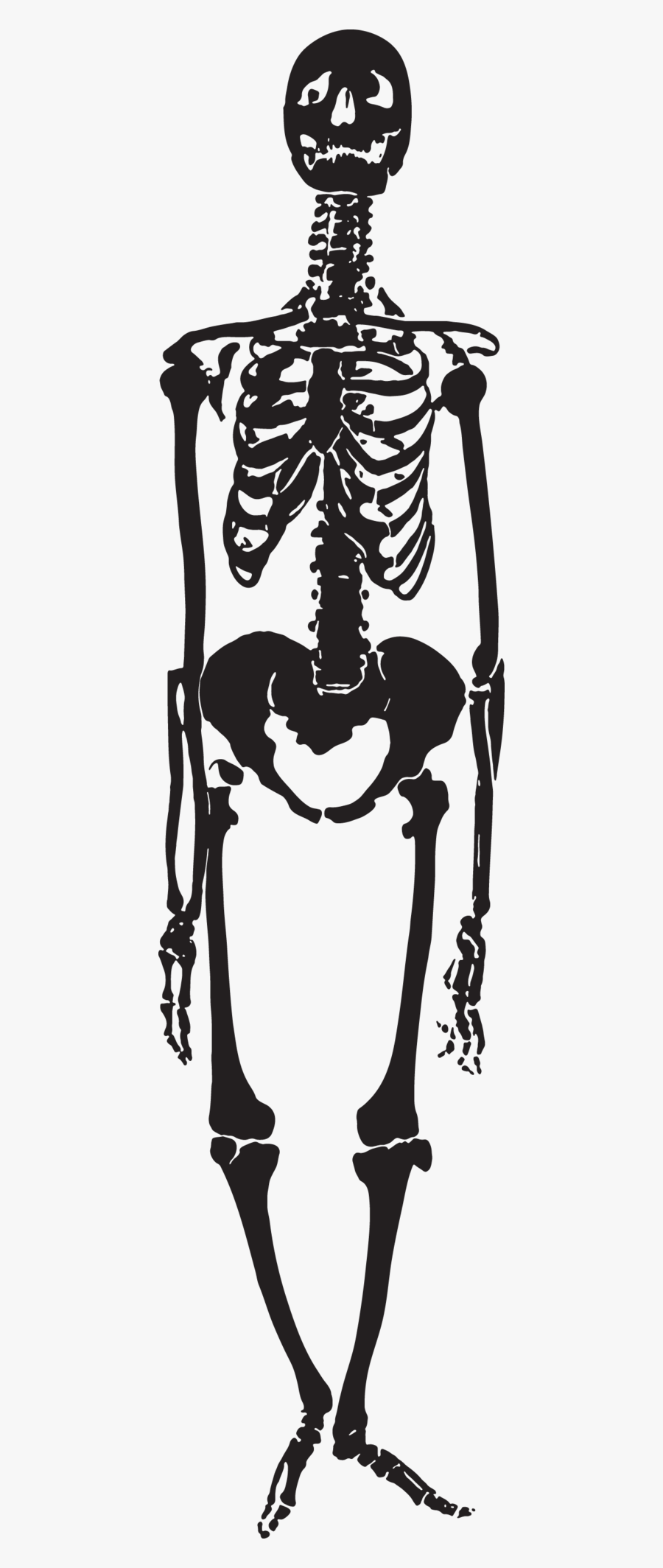 Illustration, Transparent Clipart