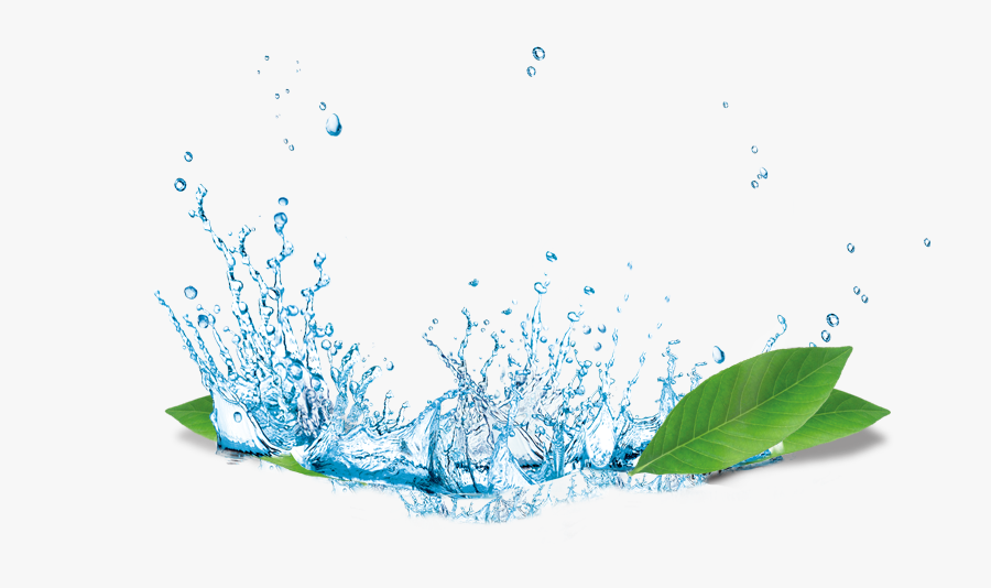 Water Png Free Photo Clipart - Water Splash With Flower Background, Transparent Clipart