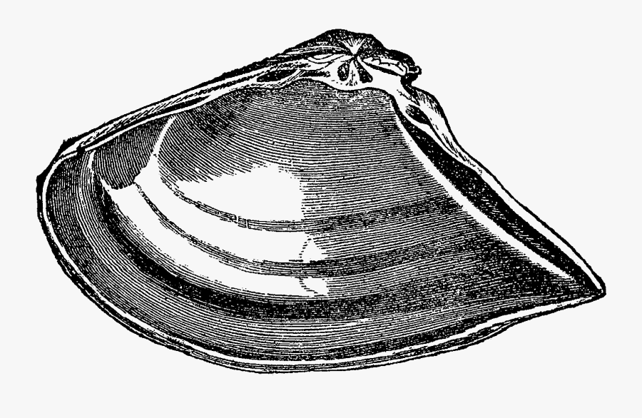 Sketch, Transparent Clipart