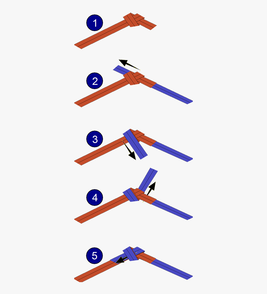 Step By Step Water Knot, Transparent Clipart